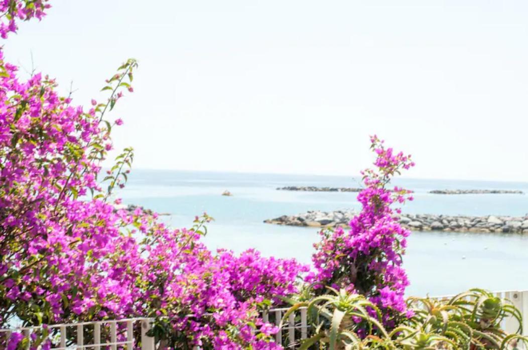 Giardino In Citta; Centralissimo Sanremo Luaran gambar